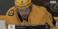 nhl sports hockey nhl shake GIF