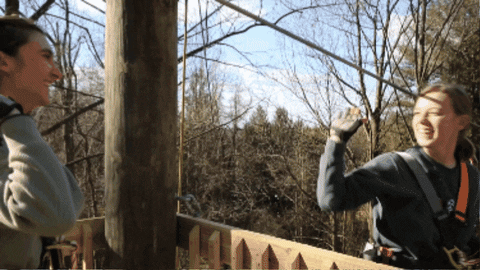 kelseynicoleoglesbee giphygifmaker GIF