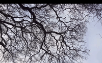 GIF by HuMandalas