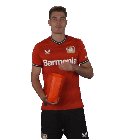 Excited Football Sticker by Bayer 04 Leverkusen