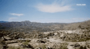 viceland GIF by RISE