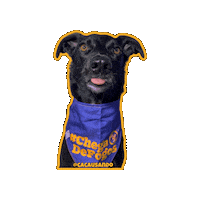 Dog Reveillon Sticker