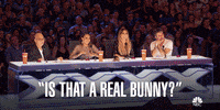 summer love GIF by America's Got Talent