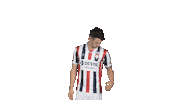 Tricolores Kingside Sticker by Willem II