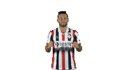 Tricolores Kingside Sticker by Willem II