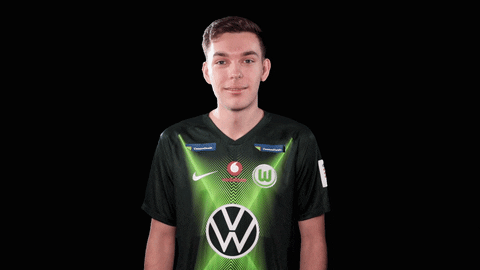 E Sports Sport GIF by VfL Wolfsburg
