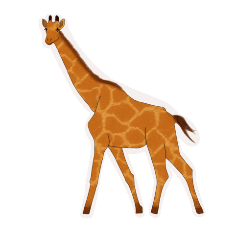 ahsanimates instagram orange cutie forest Sticker