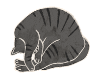 Sleeping Cat Sticker by madebymate
