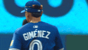 Blue Jays Baseball GIF by Toronto Blue Jays