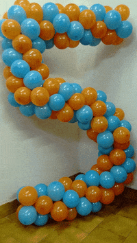arcoballoon decoration balloons palloncino balloonart GIF