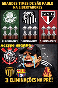 Copa Do Brasil Santos GIF