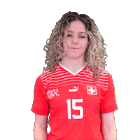 Link Switzerland Sticker by Swiss Football Association