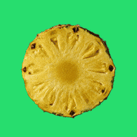 Summer Comida GIF