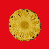 Summer Comida GIF