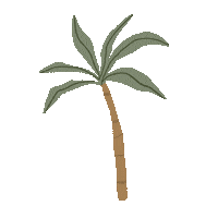 Palm Tree Summer Sticker by Be A Heart