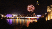 Park GIF by Linz News