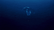 Maisie Williams Miracle GIF by Madeon