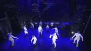 Celebration Graduation GIF by Jamie Wilson Productions