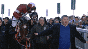 happy horse racing GIF by The Jockey Club