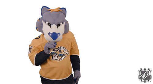 Ice Hockey GIF by NHL