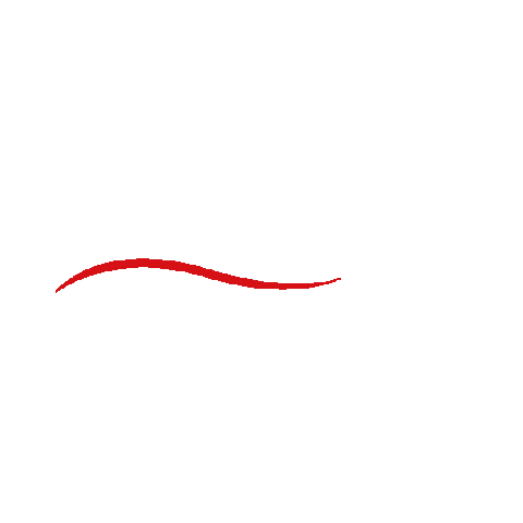 Sticker by Lion Motors
