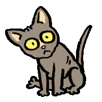 Cat What Sticker by Tony Papesh
