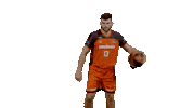 Liga Endesa Basketball Sticker by ACB