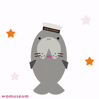wamuseum walrus wamuseum discoveryzone westernaustraliananimal GIF