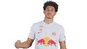 Football Sport Sticker by FC Red Bull Salzburg