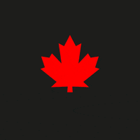 Fuck2020 GIF by DSQUARED2