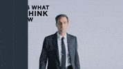 Wes Anderson Art GIF by Andrew Bird