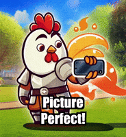 Picture Perfect Photography GIF by Zorooster