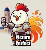 Picture Perfect Travel GIF by Zorooster