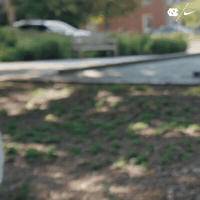 University Of North Carolina Ncaa GIF by UNC Tar Heels