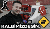 Euro Truck Simulator Mod GIF