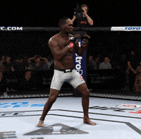 fight GIF by EA SPORTS UFC