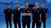 Counter Strike Team GIF by BLAST