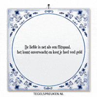Humor Nl GIF by Tegelspreuken.nl