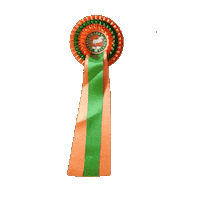 Paarden Sticker by Paardenmarktvianen