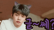 Koreantagidk GIF