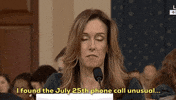 news impeachment impeachment inquiry testimony jennifer williams GIF