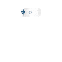 Give Black Friday Sticker by St Michaels Resort