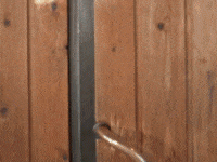 everwhatproductions elf finland going out see ya later GIF
