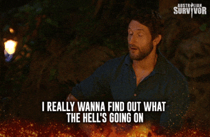 survivorau shock survivor discover survivorau GIF