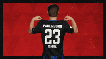 Sc Paderborn 07 Football GIF by Bundesliga