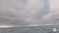 A MONSTER BREACH