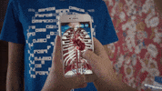 Wikitude Augmentedreality Arsdk Arapp Ar Curiscope GIF by Wikitude