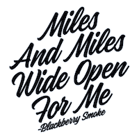 Run Away Southern Rock Sticker by Blackberry Smoke