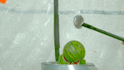 youtube nom GIF by Guava Juice
