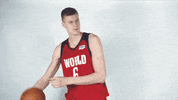 New York Knicks Basketball GIF by NBA